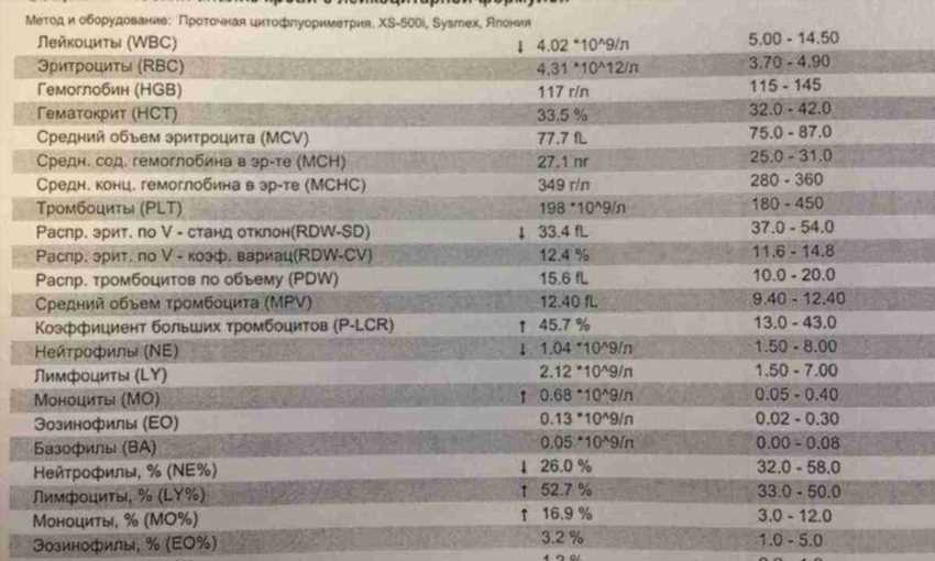 Розшифровка загального аналізу крові та нормальні значення